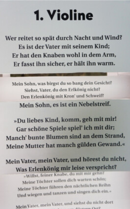 Elisa Broß