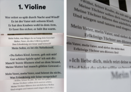 Elisa Broß